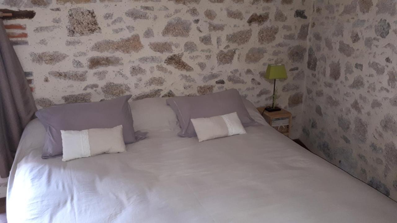 Bed and Breakfast Demeure Du Castel Les Châtelliers-Châteaumur Zewnętrze zdjęcie