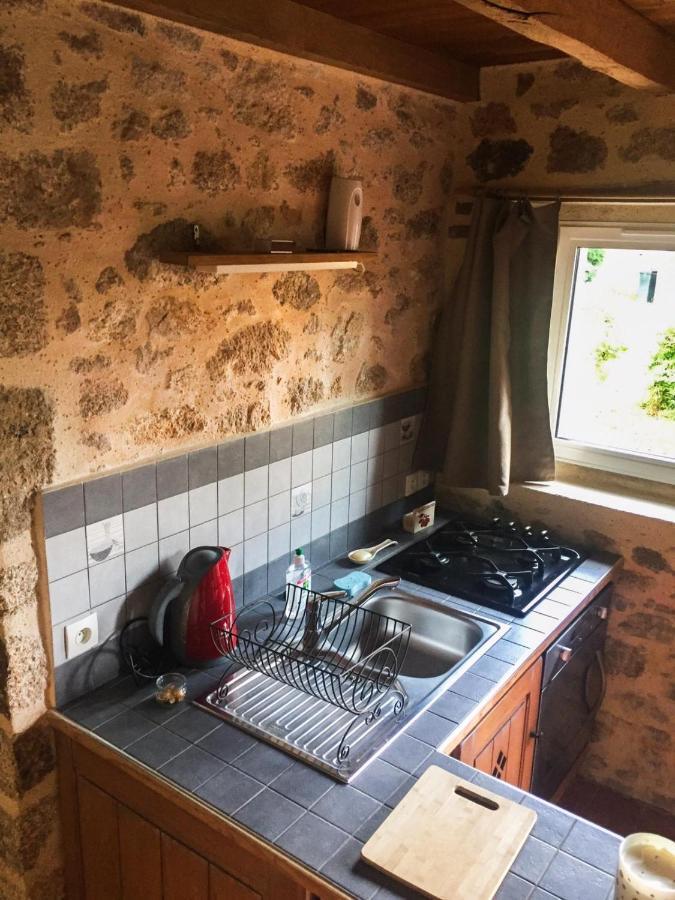 Bed and Breakfast Demeure Du Castel Les Châtelliers-Châteaumur Zewnętrze zdjęcie