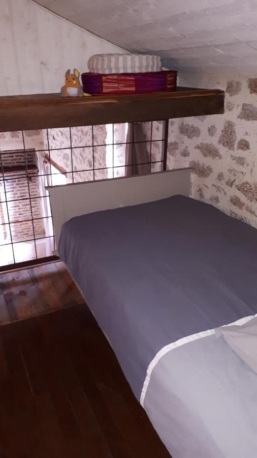 Bed and Breakfast Demeure Du Castel Les Châtelliers-Châteaumur Zewnętrze zdjęcie