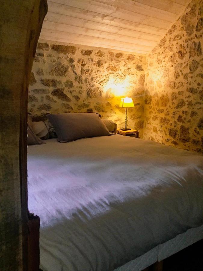 Bed and Breakfast Demeure Du Castel Les Châtelliers-Châteaumur Zewnętrze zdjęcie